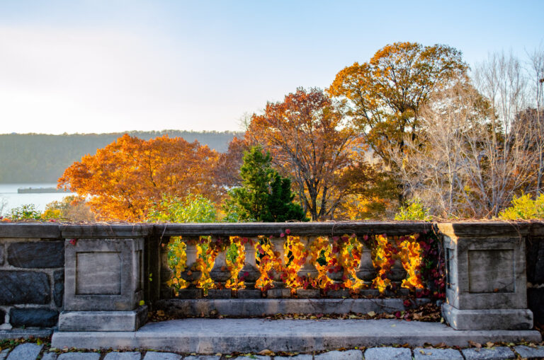 Wave hill Fall Terrace Party credit Wave Hill