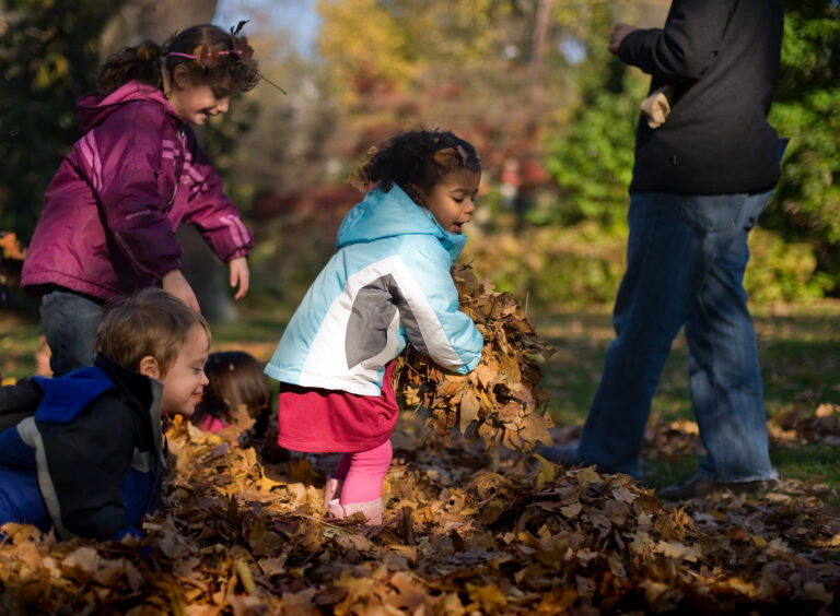 Wave hill Family Art Project Dances with Leaves credit Joshua Bright