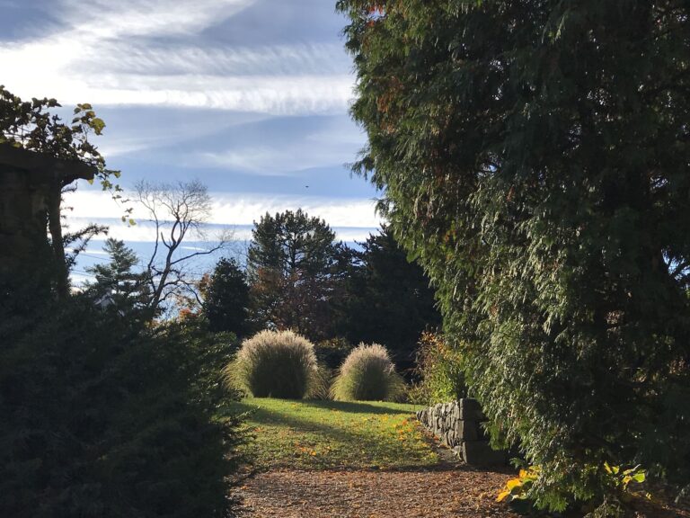 Gardens Aquatic gardenin fall bushes