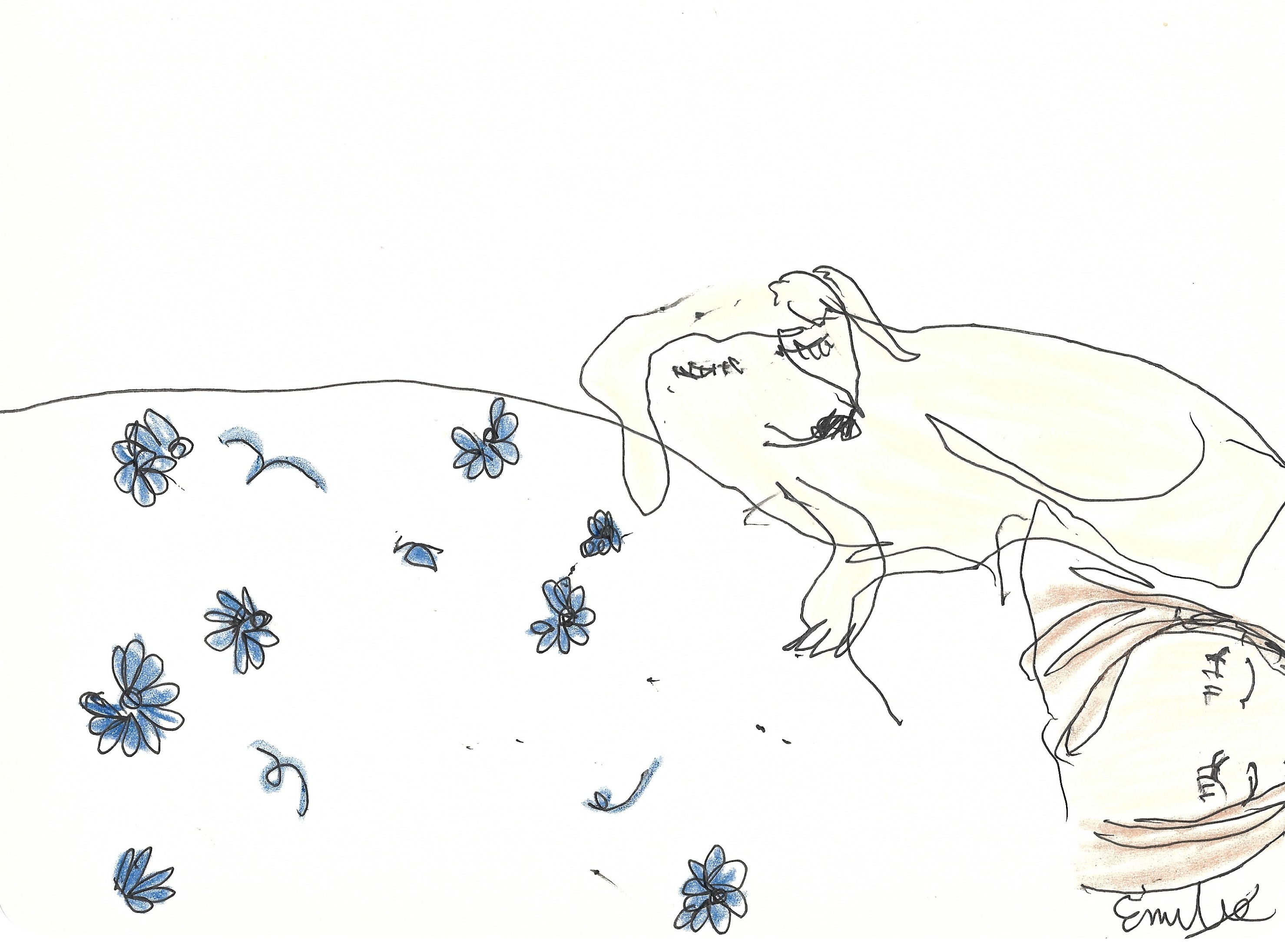 A line drawing of Emilie (the artist) sleeping under a white duvet with blue flowers printed on it. London, Emilie's Yellow Lab guide dog, is curled up next to her head, also asleep.