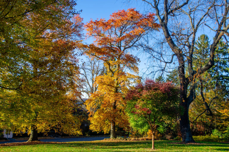 Wave hill Grounds credit Wave Hill