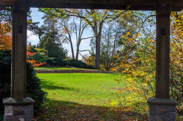 Wave hill credit Wave Hill